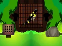 https://www.playfreegames.co.za/game/black-bird-escape