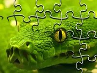 https://www.playfreegames.co.za/game/snakes-jigsaw-puzzle