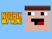 https://www.playfreegames.co.za/game/noob-way-home