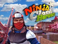https://www.playfreegames.co.za/game/ninja-clash-heroes