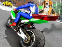 https://www.playfreegames.co.za/game/motorcycle-pet-delivery