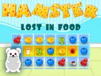 https://www.playfreegames.co.za/game/hamster-lost-in-food