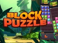 https://www.playfreegames.co.za/game/block-jewel-2024