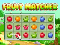https://www.playfreegames.co.za/game/fruit-matcher