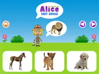 https://www.playfreegames.co.za/game/world-of-alice-baby-animal