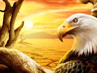 https://www.playfreegames.co.za/game/eagle-slide