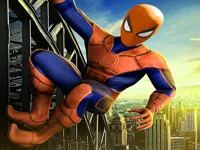 https://www.playfreegames.co.za/game/spiderman-skate-3d